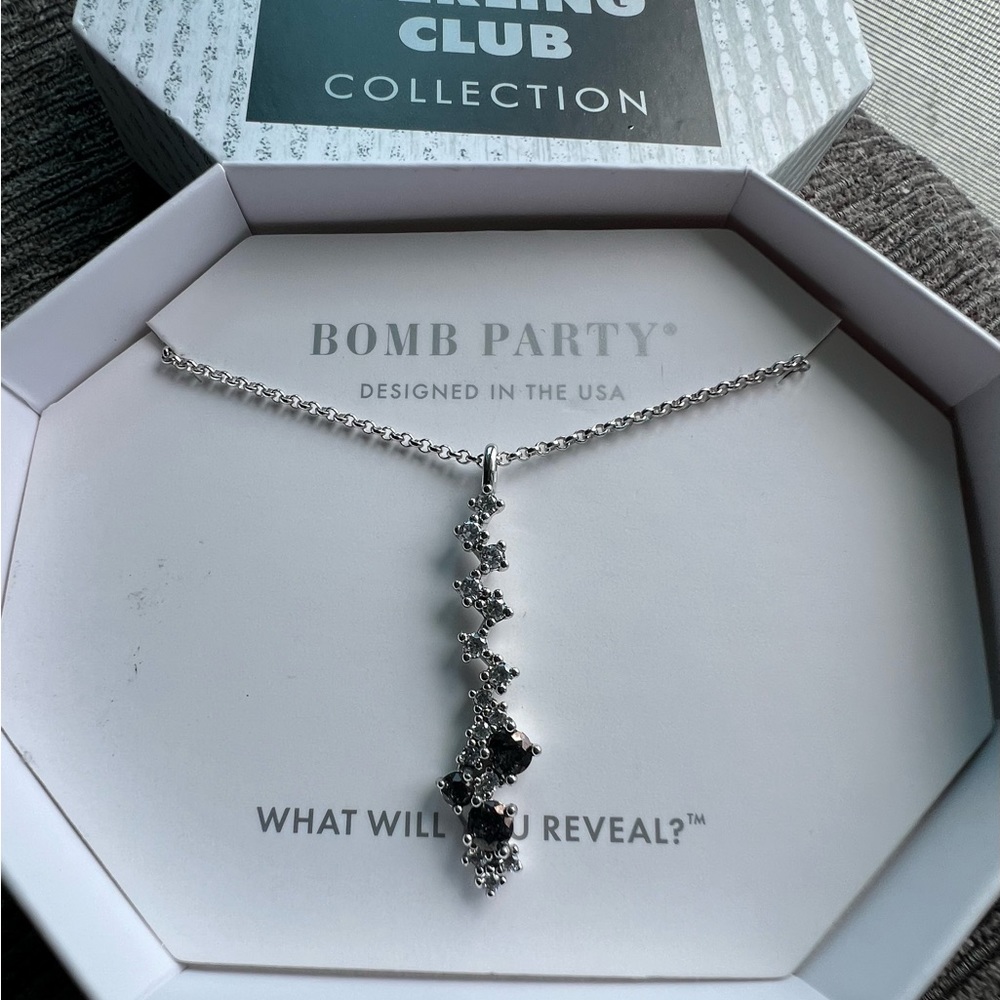 Bomb Party Sterling Club necklace Never Worn .925 sterling
